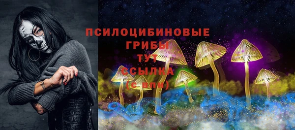 таблы Коряжма